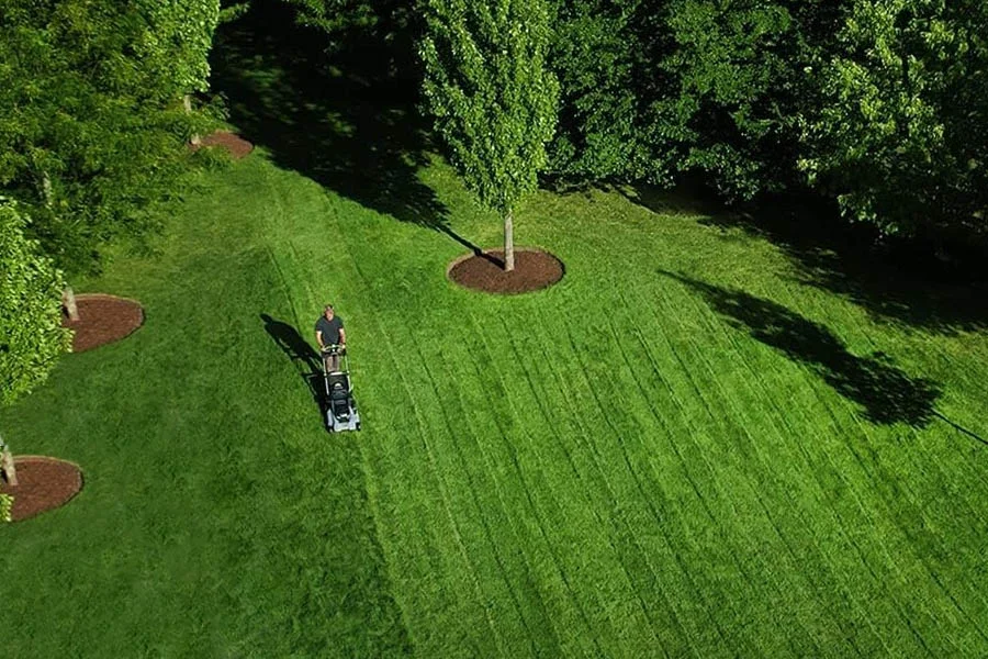 best cordless lawn